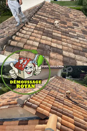 Nettoyage de toiture Royan Nettoyage de toiture Royan