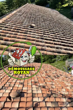 Société de démoussage de toiture Royan Société de démoussage de toiture Royan
