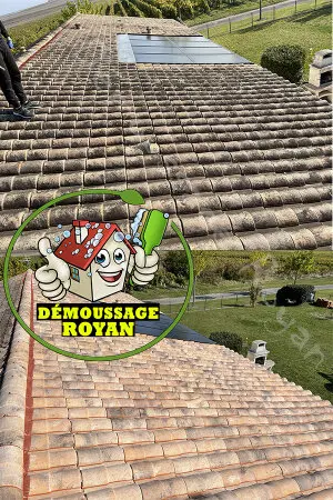 Démoussage de toiture Saujon 17600 Artisan Qualifié pour vos nettoyages de toitures Saujon 17600