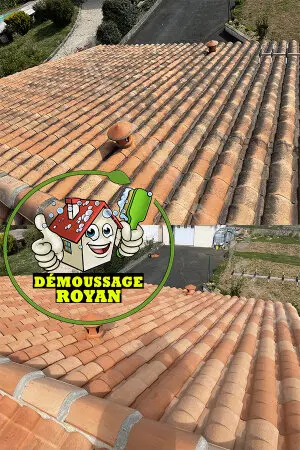 Entreprise de nettoyage de toiture à Saujon 17600 Société de démoussage Saujon 17600